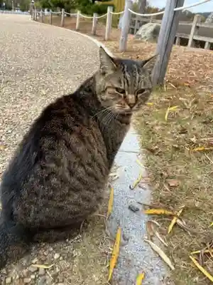 刑部神社(兵庫県)