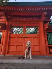 穴八幡宮(東京都)