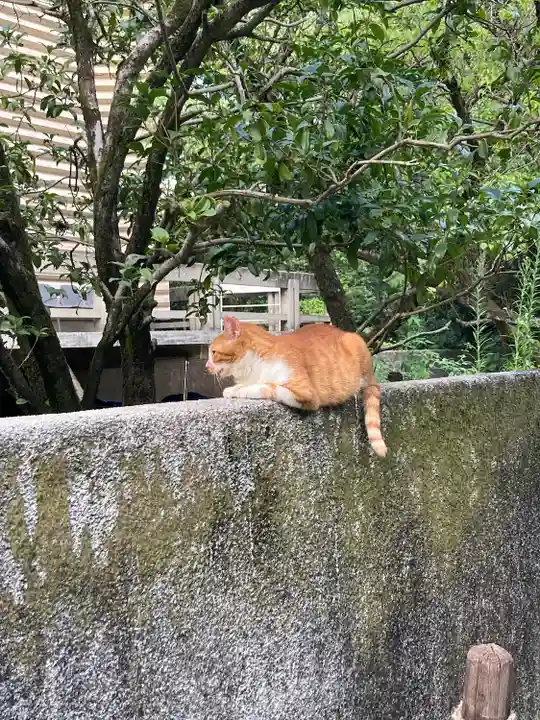 熱田神宮の動物