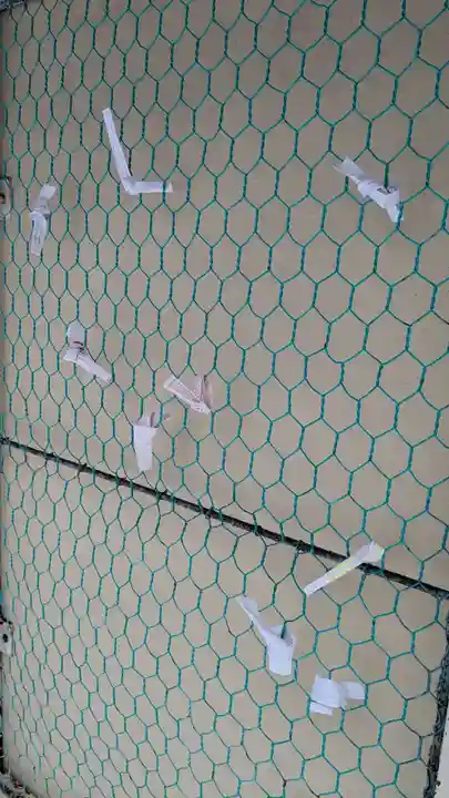 上川神社頓宮のおみくじ