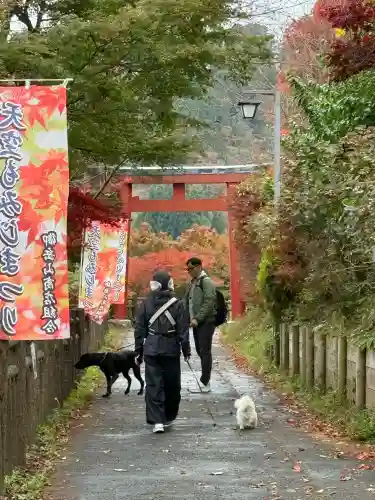 武蔵御嶽神社(東京都)