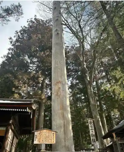 諏訪大社下社秋宮(長野県)