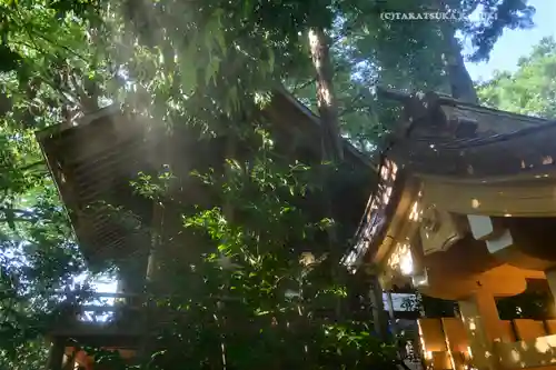 川越熊野神社(埼玉県)