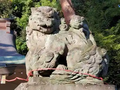 天沼八幡神社の狛犬