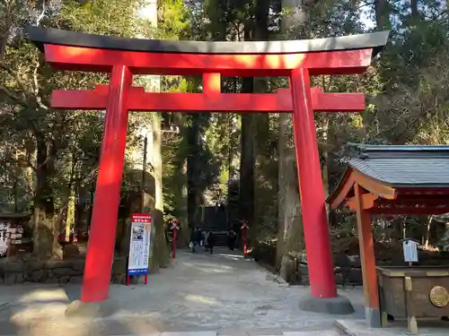 箱根神社の鳥居