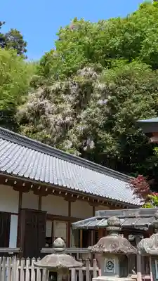 手向山八幡宮(奈良県)