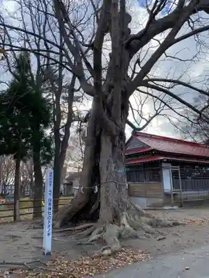 日吉神社(秋田県)