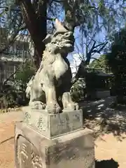 青山熊野神社の狛犬