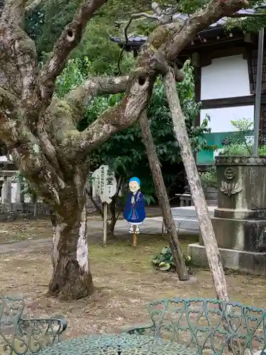 元三大師安楽寺の自然