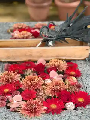 川越八幡宮(埼玉県)