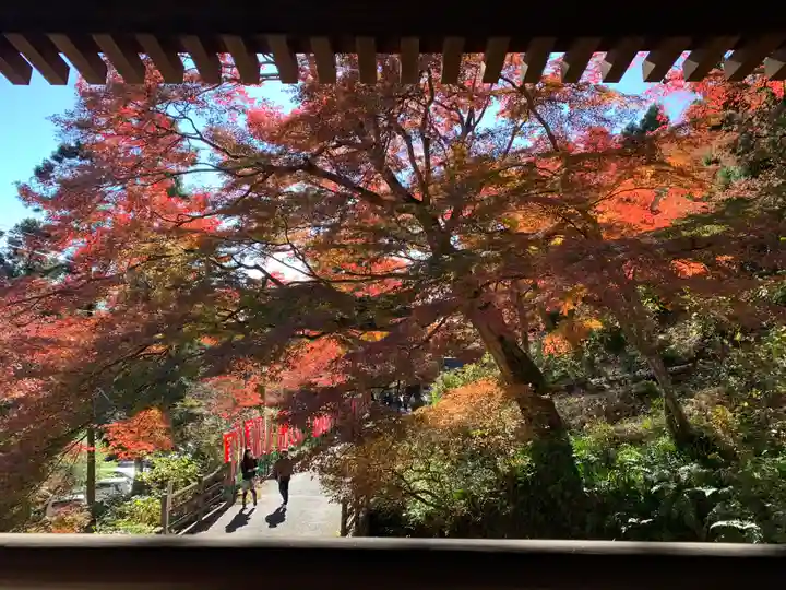 普門寺(切り絵御朱印発祥の寺)の自然