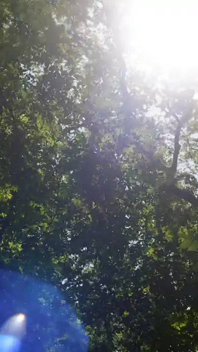 賀茂御祖神社(下鴨神社)(京都府)