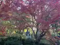 榮攝院(栄摂院)(京都府)