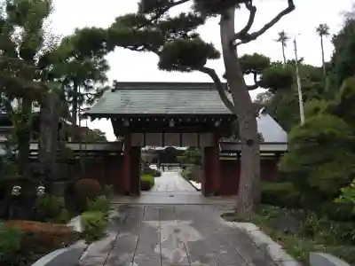 大坊本行寺の山門・神門