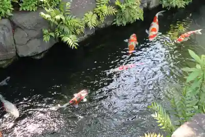 浅草寺(東京都)