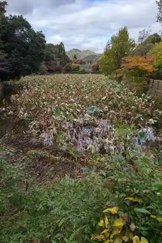 御髪神社の周辺