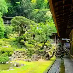 臨済寺(静岡県)