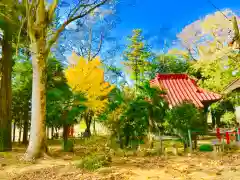 厳島神社の庭園