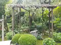 一條殿 新善光寺(京都府)