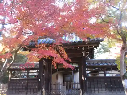 本土寺(千葉県)