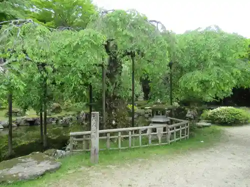 竹林院の庭園