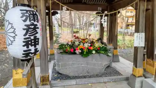 彌彦神社　(伊夜日子神社)の手水