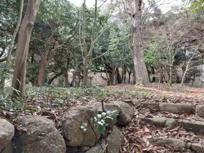 常宮神社の{uncategorized: "未分類", other: "その他", undefined: "問題あり", building: "その他建物", grave: "お墓", sacred_gate: "鳥居", guardian: "狛犬", statue: "像", buddha: "仏像", history: "歴史", nature: "自然", garden: "庭園", animal: "動物", pagoda: "塔", temizu: "手水舎", mountain_gate: "山門・神門", sanctuary: "本殿・本堂", subordinate: "末社・摂社", art: "芸術", scenery: "景色", jizo: "地蔵", ema: "絵馬", goshuin: "御朱印", omikuji: "おみくじ", items: "授与品その他", amulet: "お守り", goshuincho: "御朱印帳", eats: "食事", festival: "お祭り", votive_dance: "神楽", shichigosan: "七五三参", wedding: "結婚式", experience: "体験その他", initially: "初詣", around: "周辺", anti_infection: "感染症対策"}