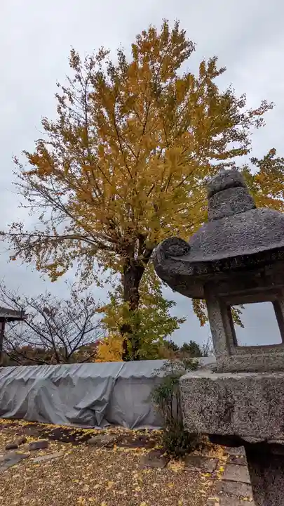 三鈷寺(京都府)