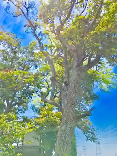 愛宕神社(茨城県)