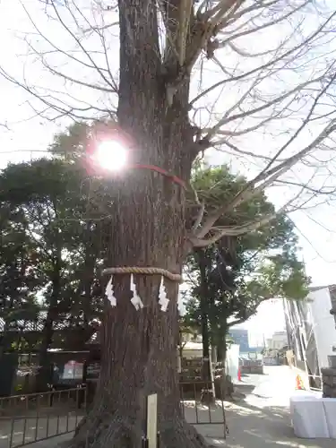 春日部八幡神社(埼玉県)