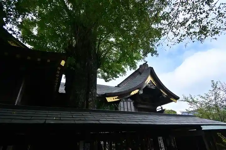 麻賀多神社(千葉県)