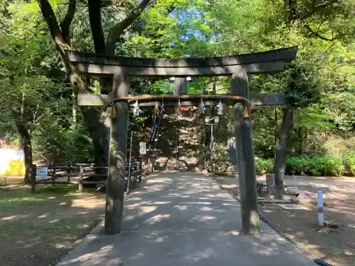 仙波東照宮の鳥居