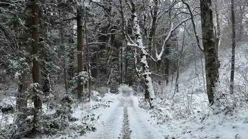 戸隠神社九頭龍社(長野県)