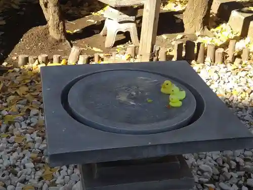 高円寺氷川神社の庭園