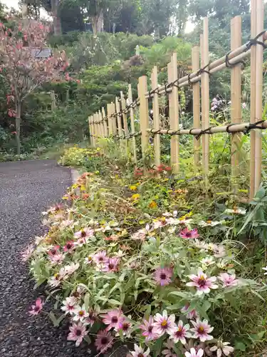 白金氷川神社の自然