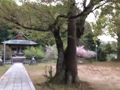 奈具神社のその他建物