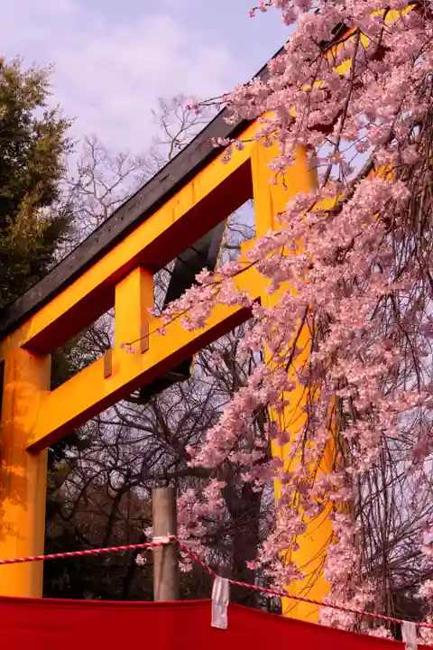 平野神社(京都府)