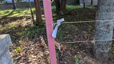 公園八幡宮のおみくじ