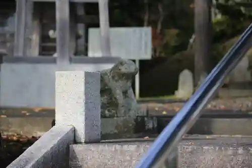 大祥寺の狛犬