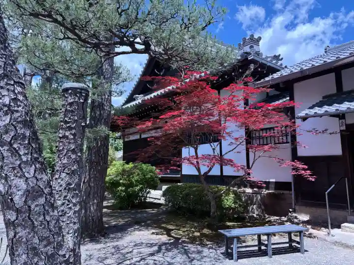 廬山寺(廬山天台講寺)の{uncategorized: "未分類", other: "その他", undefined: "問題あり", building: "その他建物", grave: "お墓", sacred_gate: "鳥居", guardian: "狛犬", statue: "像", buddha: "仏像", history: "歴史", nature: "自然", garden: "庭園", animal: "動物", pagoda: "塔", temizu: "手水舎", mountain_gate: "山門・神門", sanctuary: "本殿・本堂", subordinate: "末社・摂社", art: "芸術", scenery: "景色", jizo: "地蔵", ema: "絵馬", goshuin: "御朱印", omikuji: "おみくじ", items: "授与品その他", amulet: "お守り", goshuincho: "御朱印帳", eats: "食事", festival: "お祭り", votive_dance: "神楽", shichigosan: "七五三参", wedding: "結婚式", experience: "体験その他", initially: "初詣", around: "周辺", anti_infection: "感染症対策"}