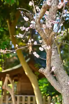 常陸第三宮 吉田神社(茨城県)
