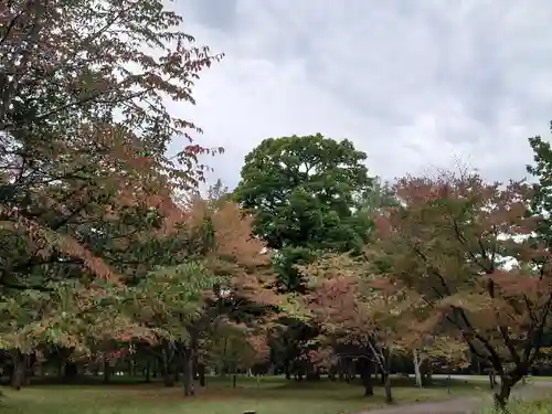 公園八幡宮の自然