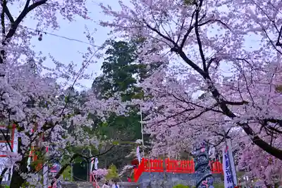 金櫻神社(山梨県)