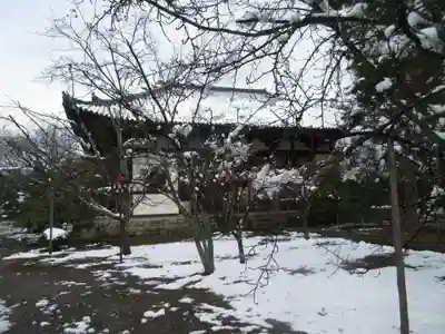廣隆寺(京都府)