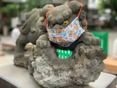 田無神社の狛犬