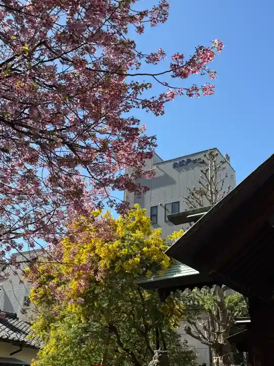 蔵前神社の{uncategorized: "未分類", other: "その他", undefined: "問題あり", building: "その他建物", grave: "お墓", sacred_gate: "鳥居", guardian: "狛犬", statue: "像", buddha: "仏像", history: "歴史", nature: "自然", garden: "庭園", animal: "動物", pagoda: "塔", temizu: "手水舎", mountain_gate: "山門・神門", sanctuary: "本殿・本堂", subordinate: "末社・摂社", art: "芸術", scenery: "景色", jizo: "地蔵", ema: "絵馬", goshuin: "御朱印", omikuji: "おみくじ", items: "授与品その他", amulet: "お守り", goshuincho: "御朱印帳", eats: "食事", festival: "お祭り", votive_dance: "神楽", shichigosan: "七五三参", wedding: "結婚式", experience: "体験その他", initially: "初詣", around: "周辺", anti_infection: "感染症対策"}