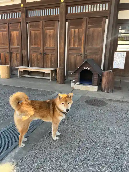 感通寺(東京都)