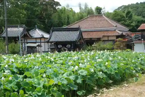 浄名寺(山口県)