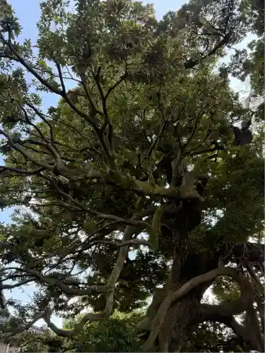 九重神社(埼玉県)