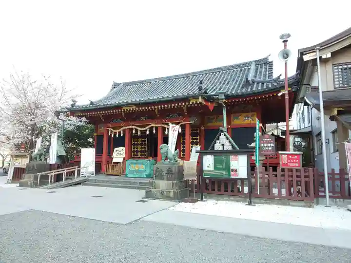 浅草神社の本殿・本堂
